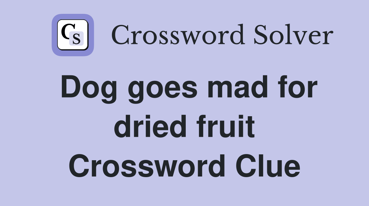 Dog goes mad for dried fruit Crossword Clue