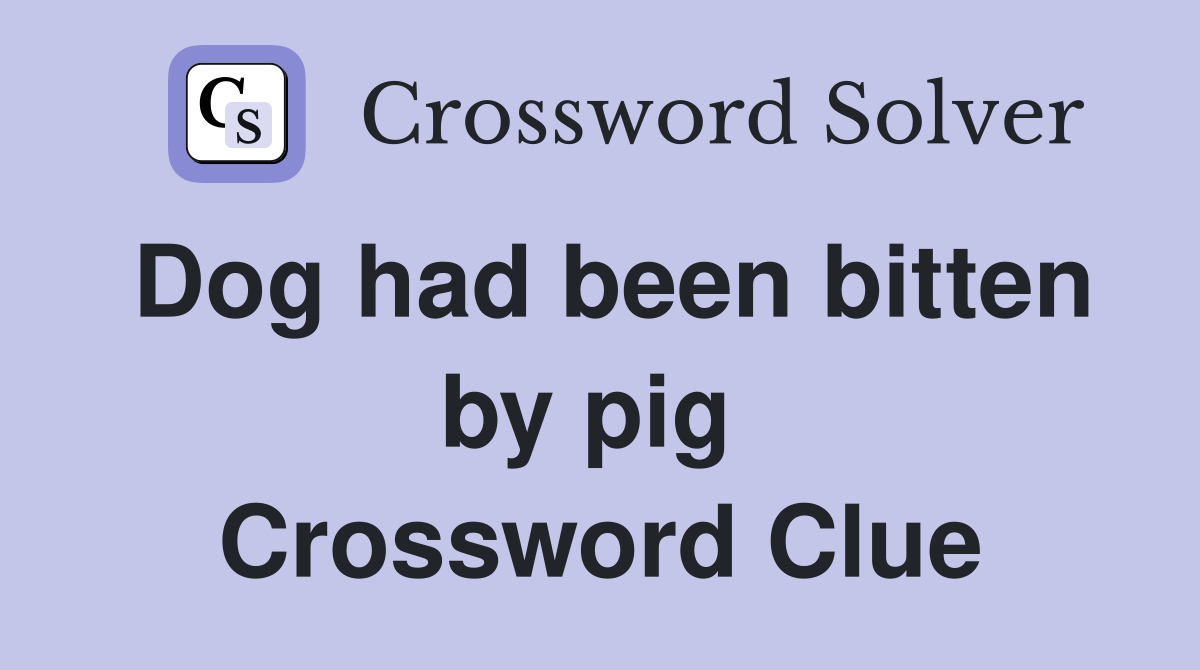 Dog had been bitten by pig  Crossword Clue