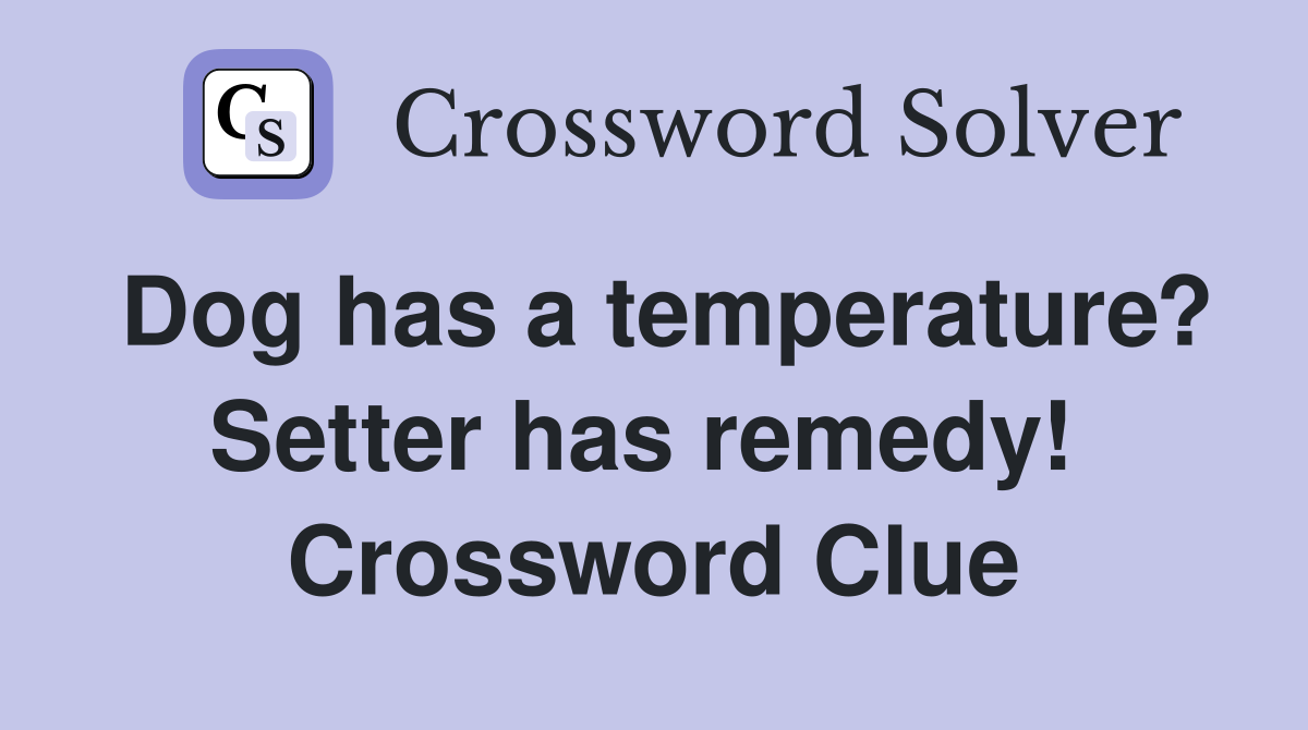 Dog has a temperature? Setter has remedy!  Crossword Clue