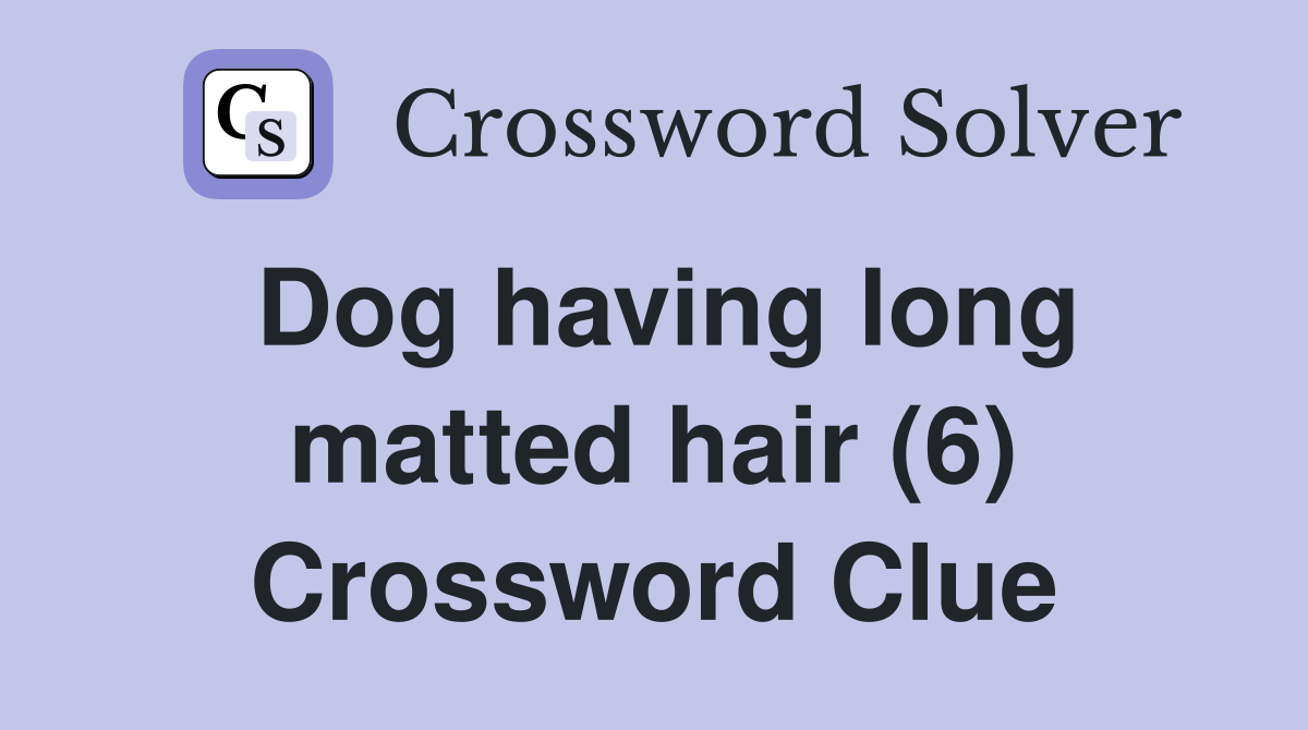 Dog having long matted hair (6) Crossword Clue