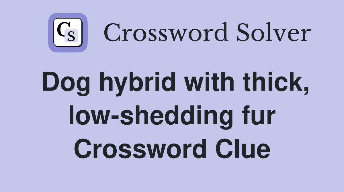 Dog hybrid with thick, low-shedding fur Crossword Clue