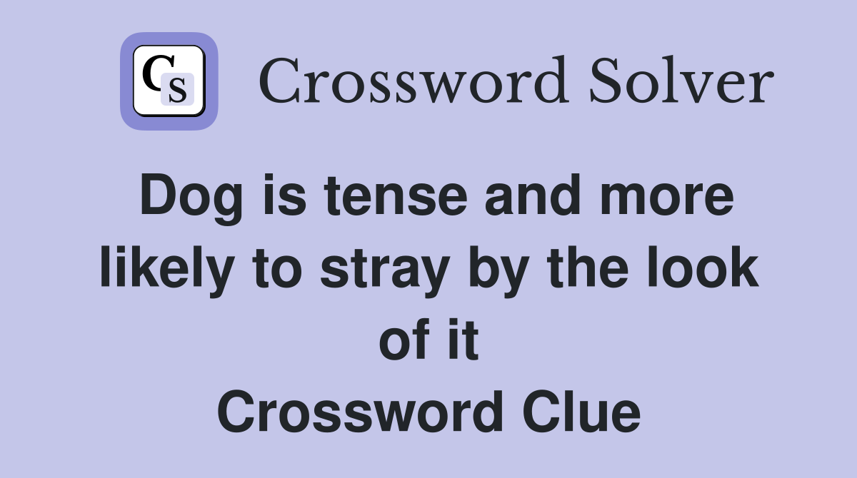 Dog is tense and more likely to stray by the look of it Crossword Clue