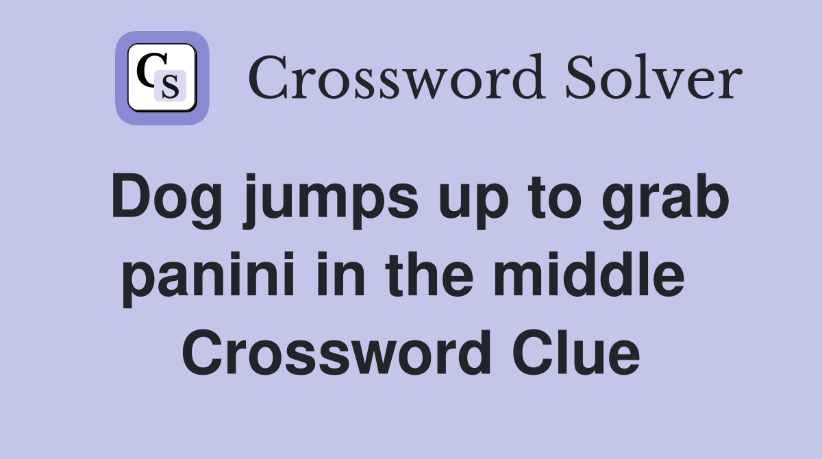 Dog jumps up to grab panini in the middle  Crossword Clue