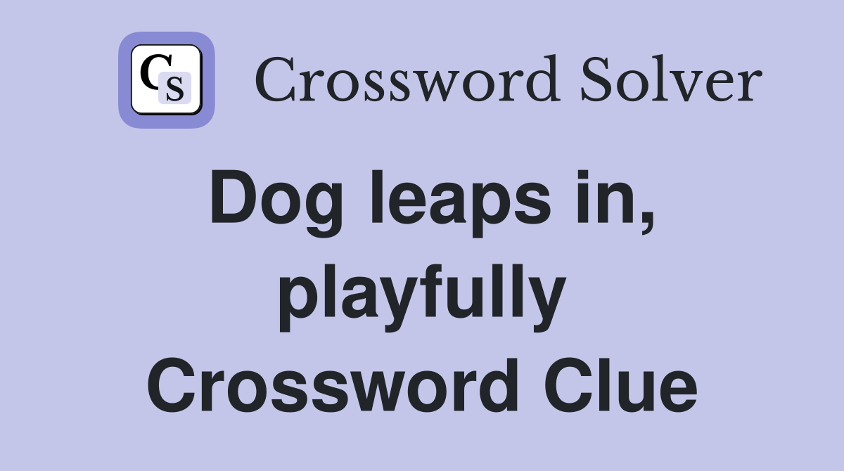 Dog leaps in, playfully Crossword Clue