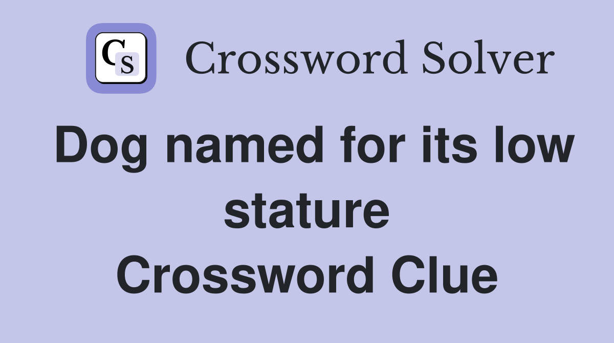 Dog named for its low stature Crossword Clue