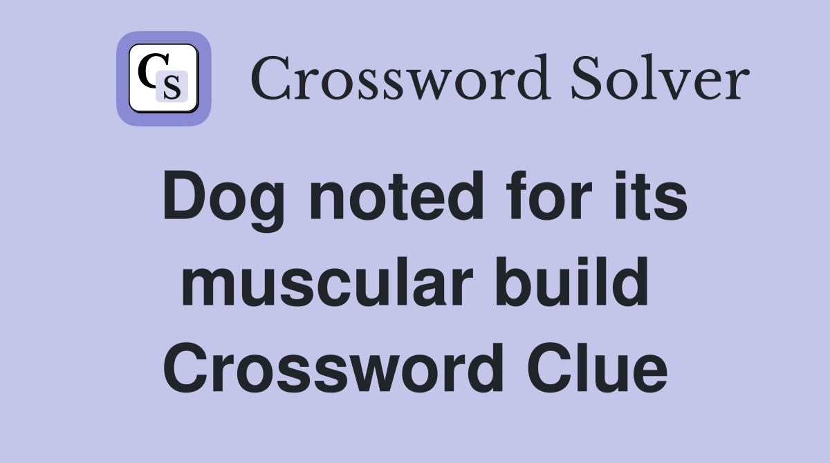 Dog noted for its muscular build Crossword Clue