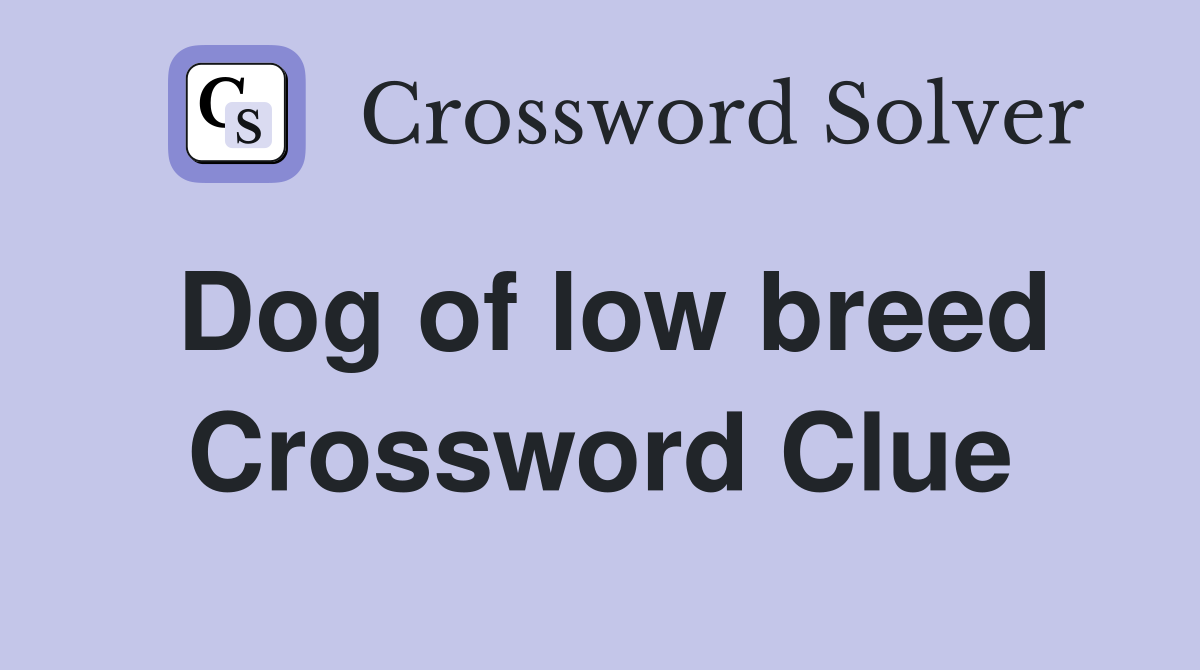 Dog of low breed Crossword Clue