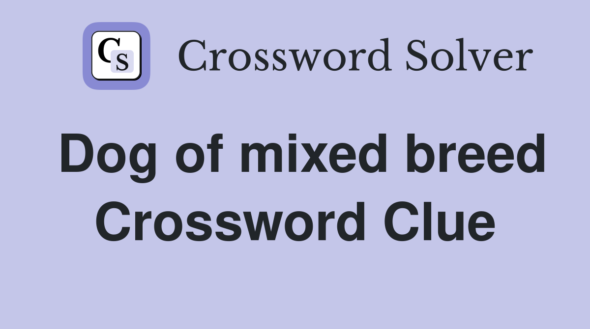 Dog of mixed breed Crossword Clue