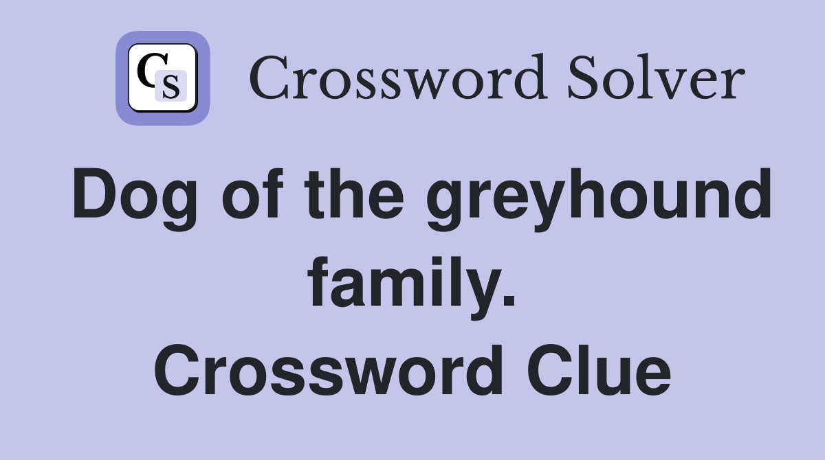 Dog of the greyhound family. Crossword Clue