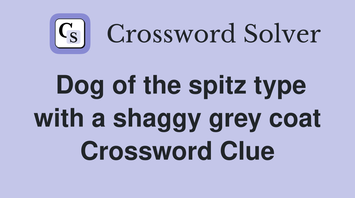 Dog of the spitz type with a shaggy grey coat Crossword Clue