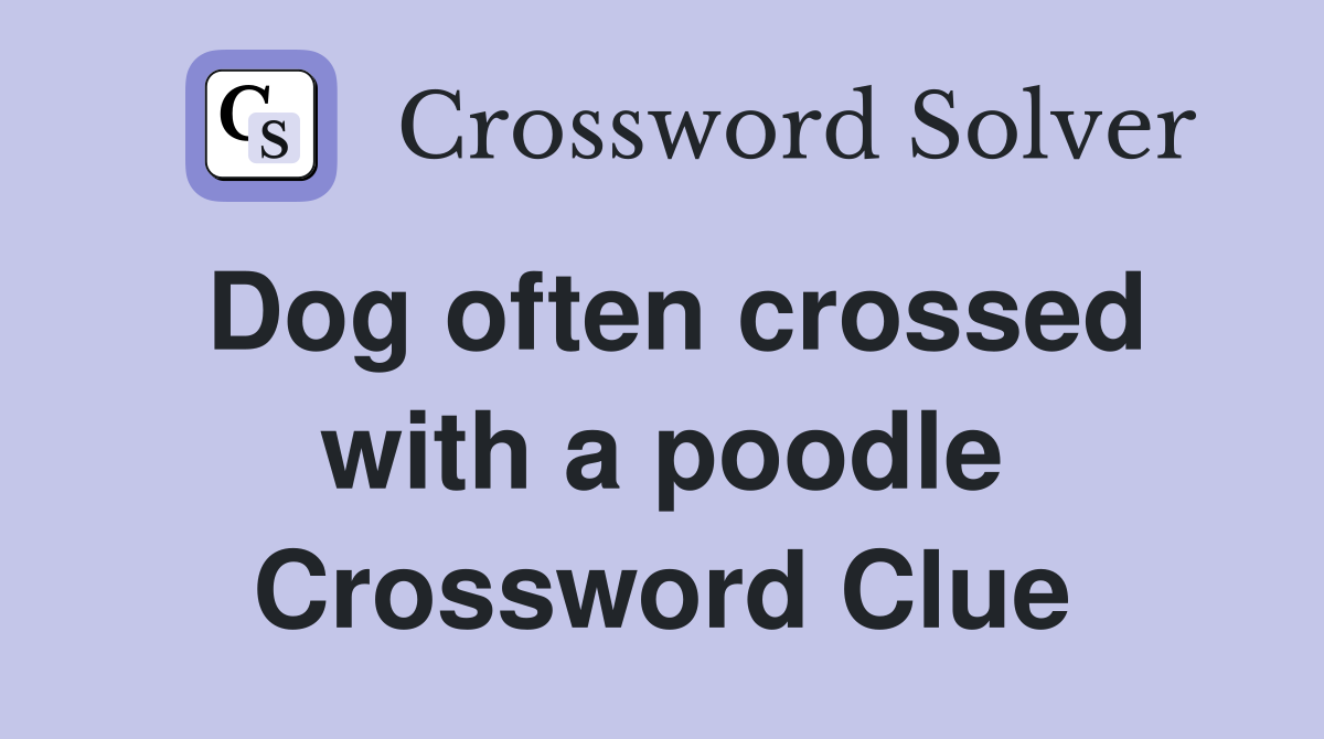 Dog often crossed with a poodle Crossword Clue