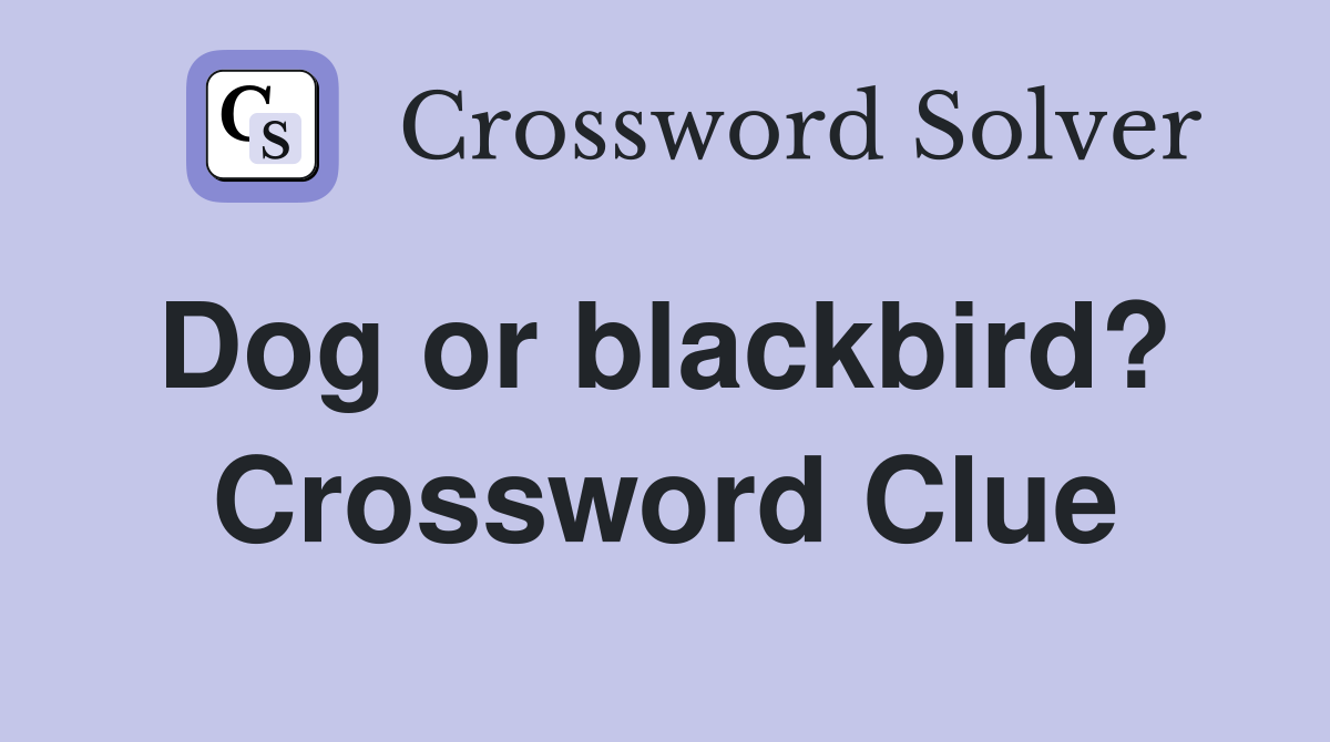 Dog or blackbird?  Crossword Clue