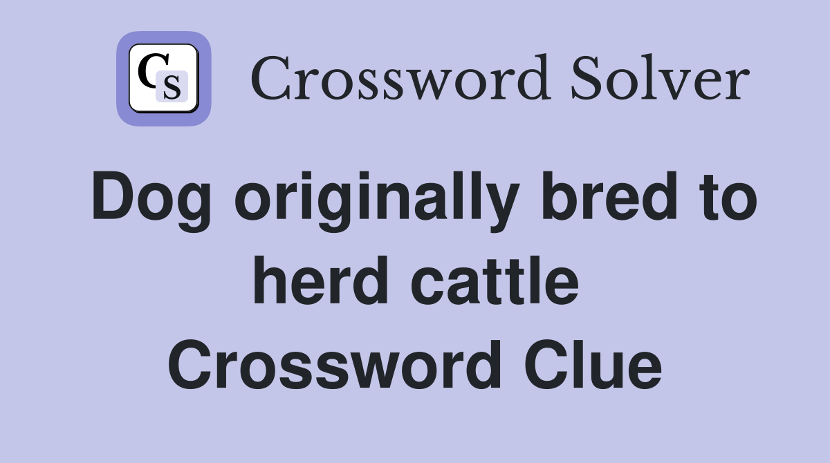Dog originally bred to herd cattle Crossword Clue
