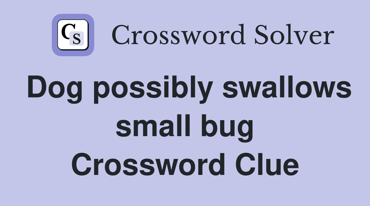 Dog possibly swallows small bug Crossword Clue