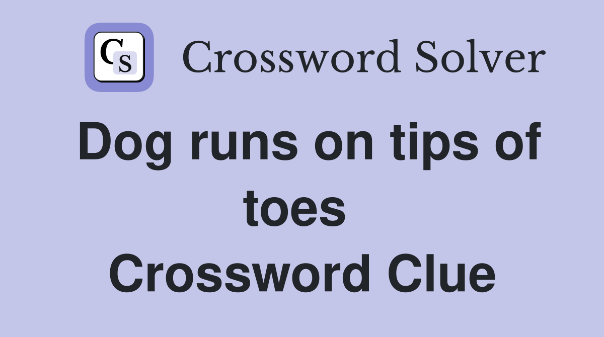 Dog runs on tips of toes  Crossword Clue