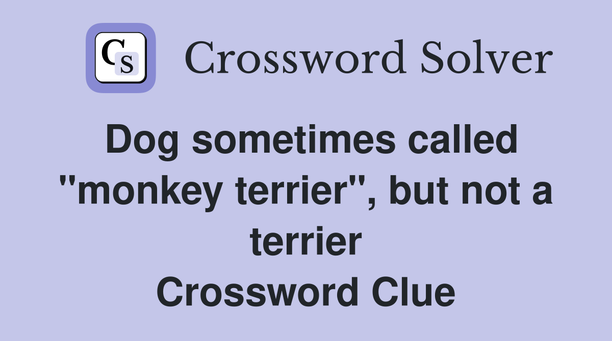 Dog sometimes called "monkey terrier", but not a terrier Crossword Clue