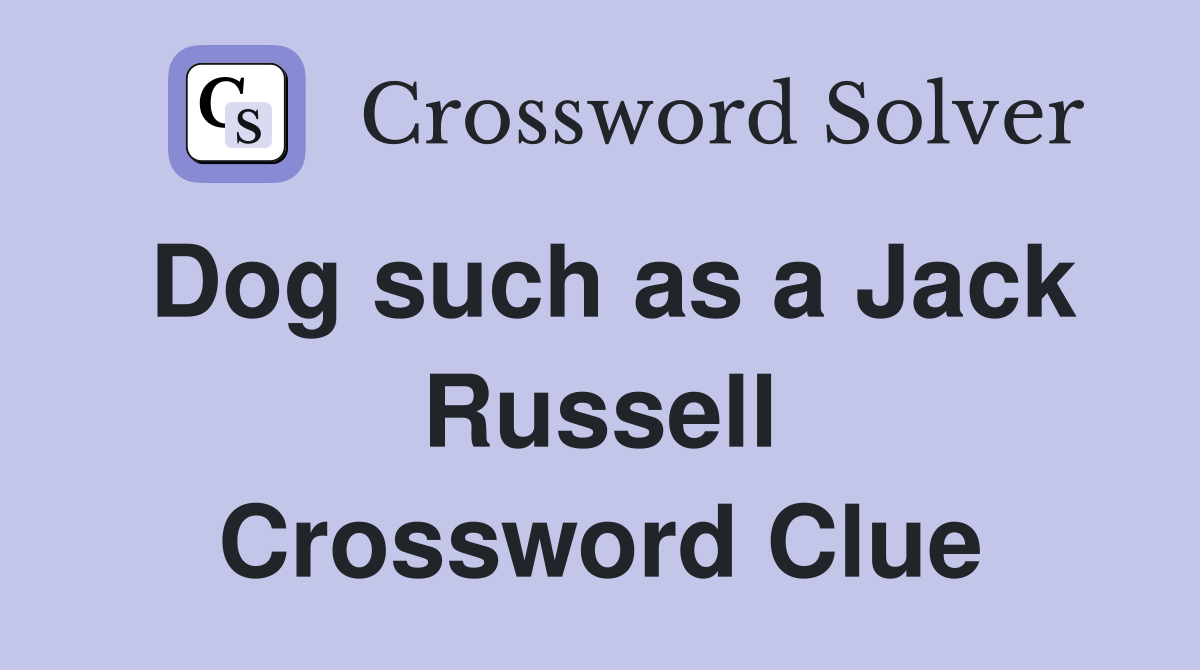 Dog such as a Jack Russell Crossword Clue