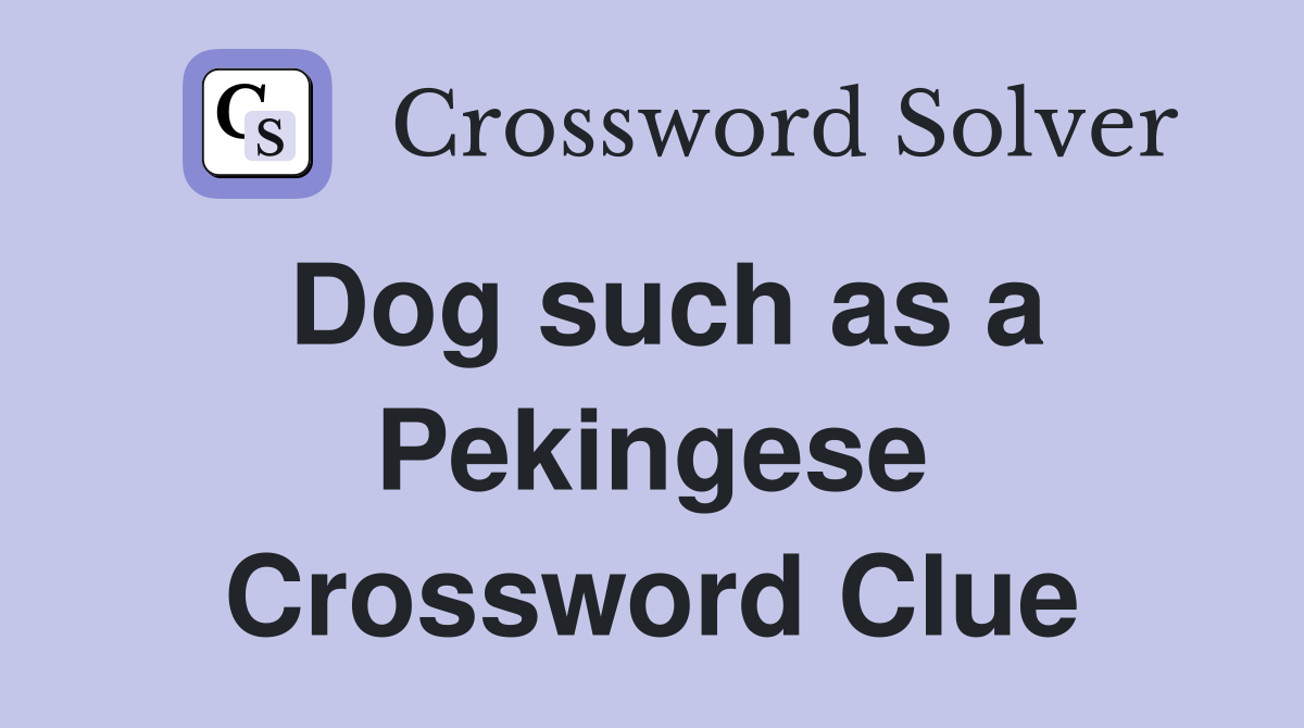 Dog such as a Pekingese Crossword Clue