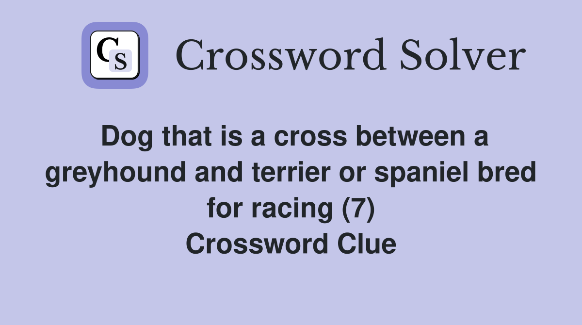 Dog that is a cross between a greyhound and terrier or spaniel bred for racing (7) Crossword Clue