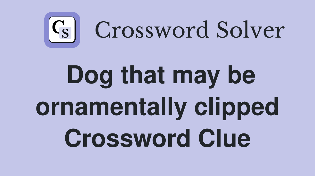 Dog that may be ornamentally clipped Crossword Clue