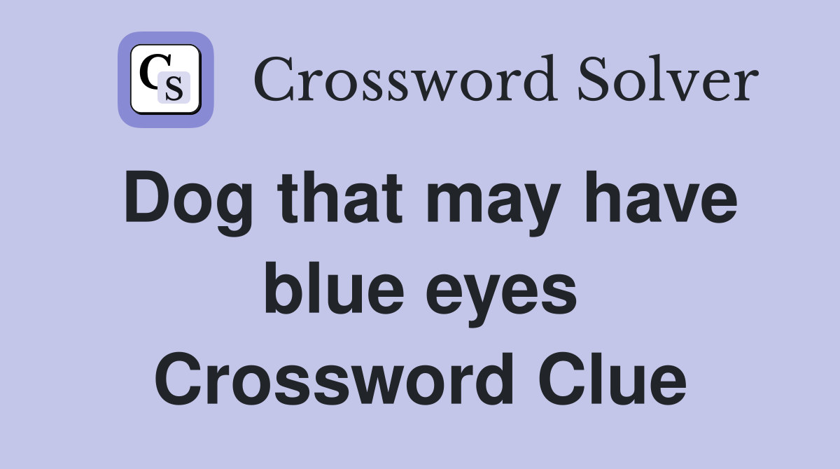 Dog that may have blue eyes Crossword Clue