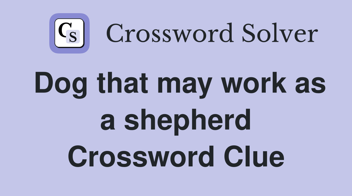 Dog that may work as a shepherd Crossword Clue