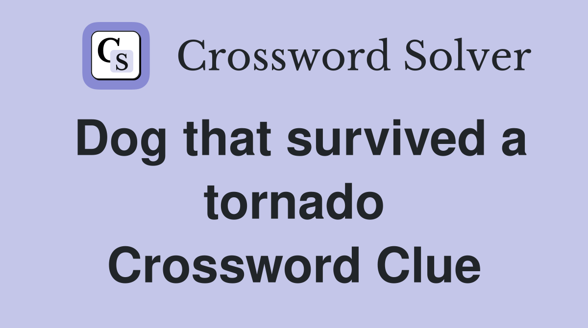 Dog that survived a tornado Crossword Clue