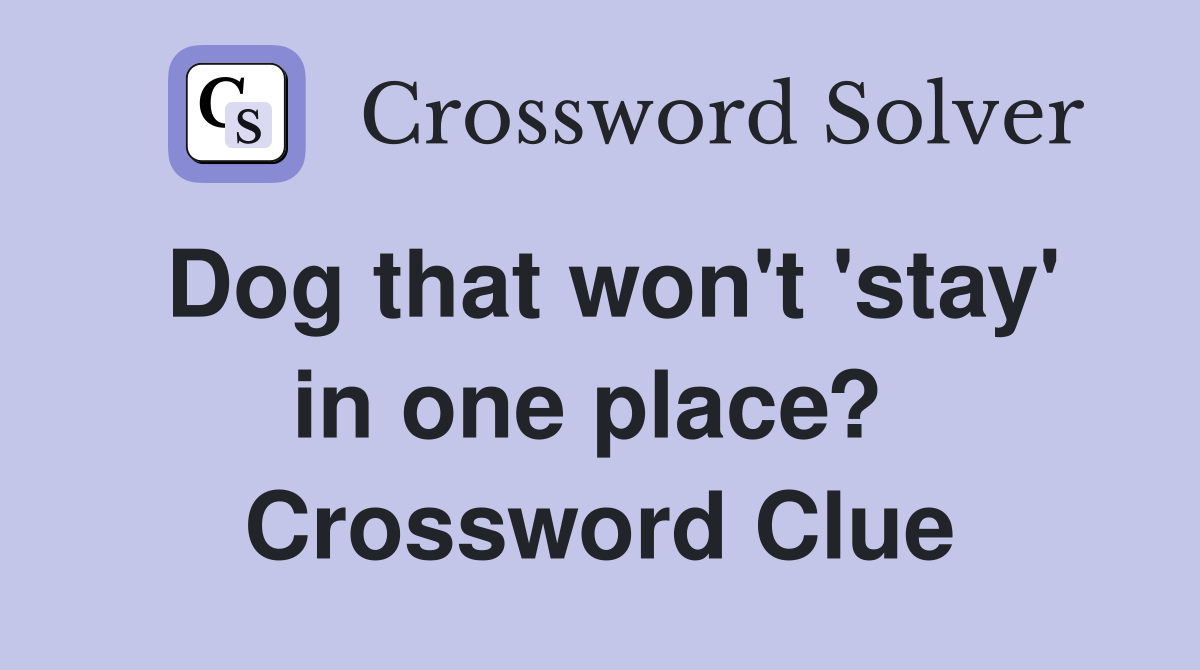 Dog that won't 'stay' in one place?  Crossword Clue