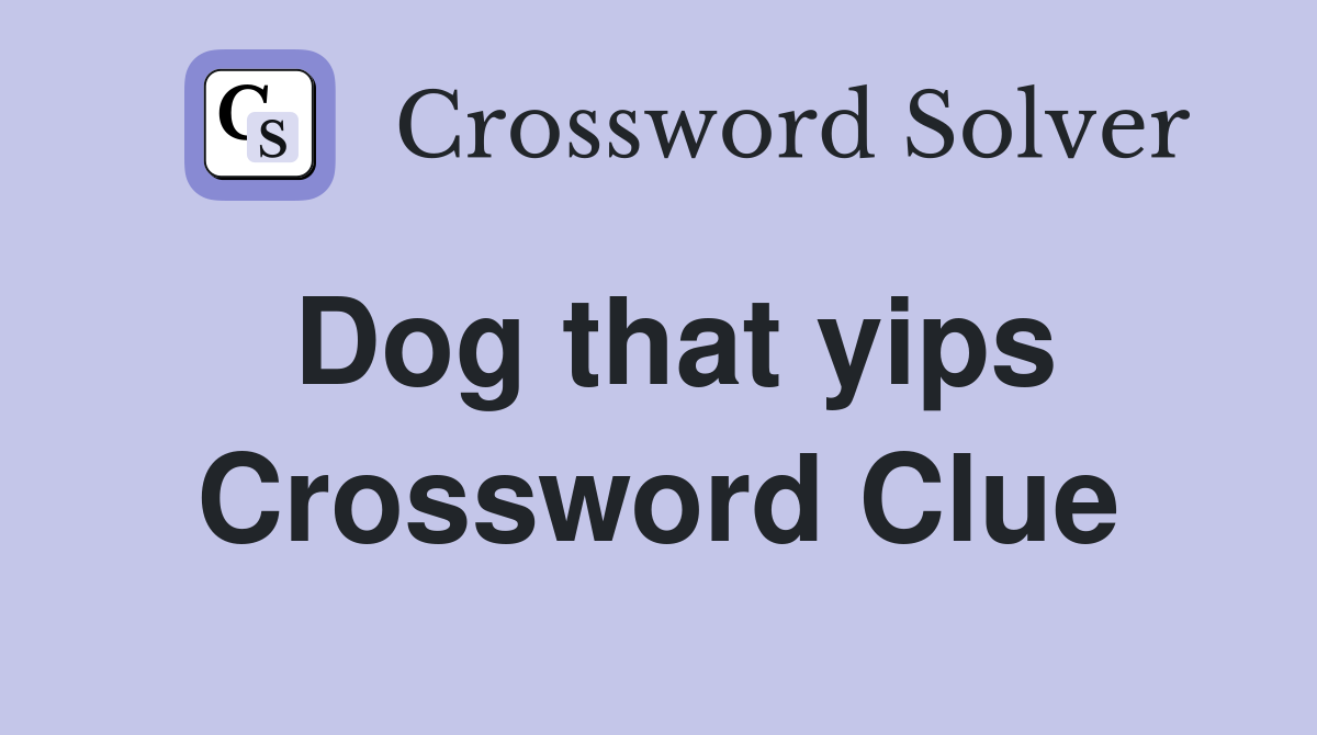 Dog that yips Crossword Clue
