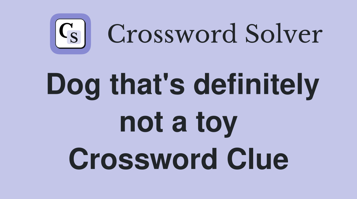 Dog that's definitely not a toy Crossword Clue