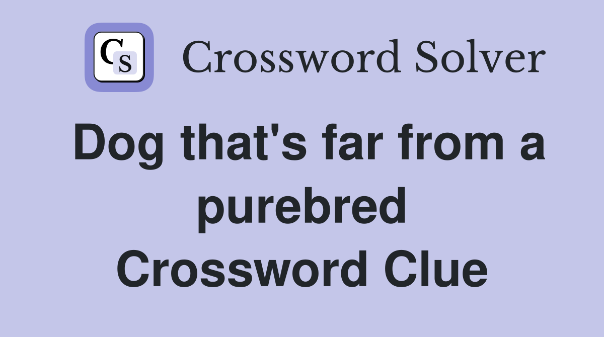 Dog that's far from a purebred Crossword Clue