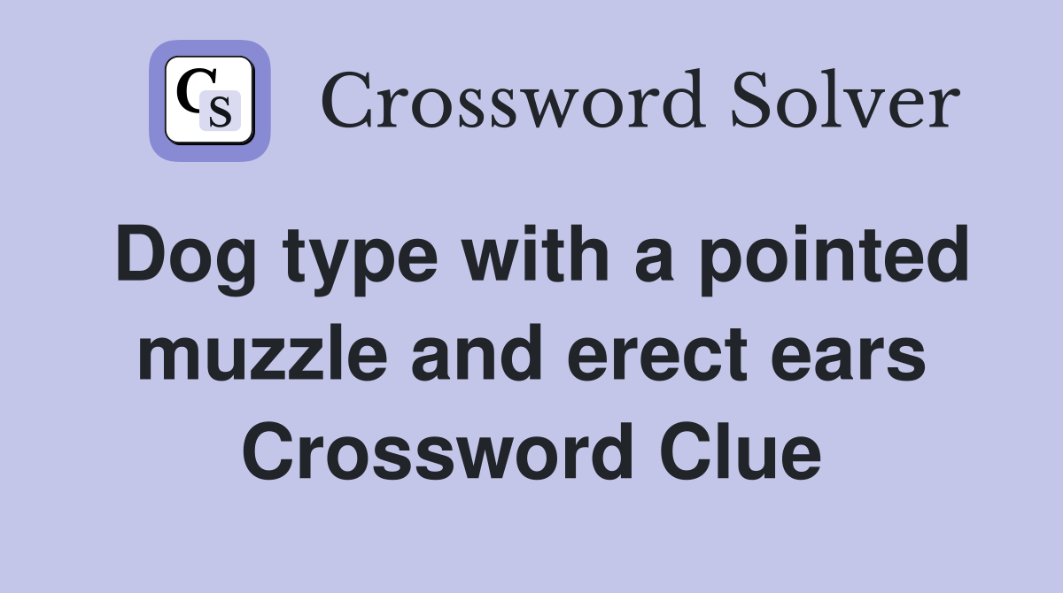 Dog type with a pointed muzzle and erect ears Crossword Clue