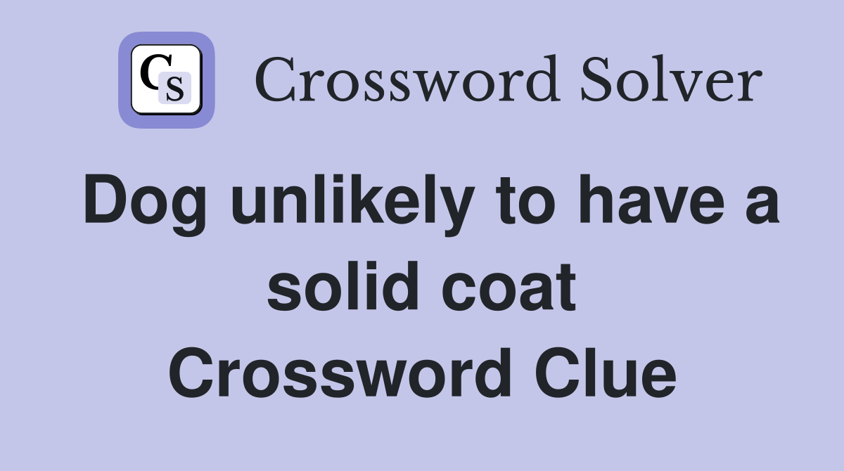 Dog unlikely to have a solid coat Crossword Clue