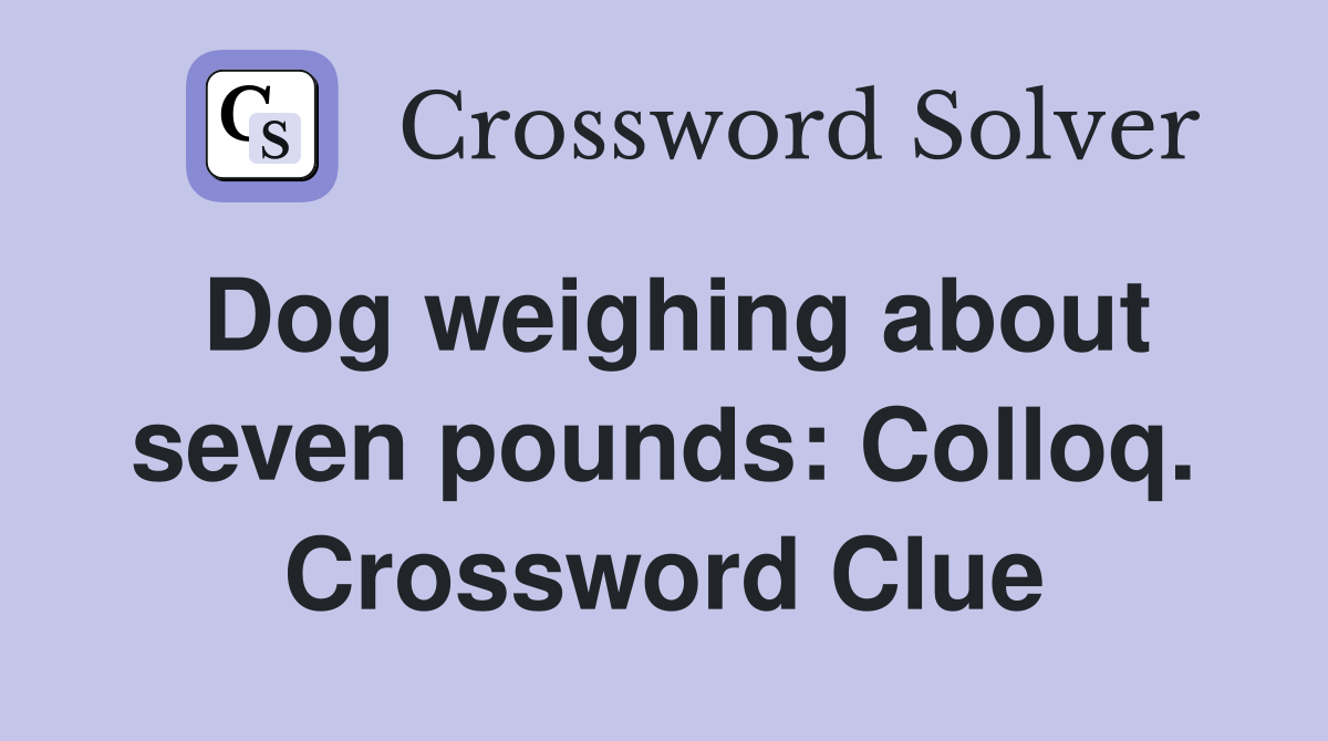 Dog weighing about seven pounds: Colloq. Crossword Clue