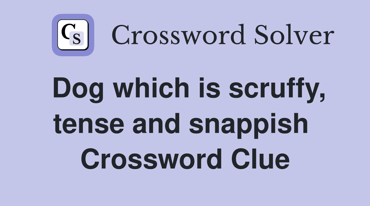 Dog which is scruffy, tense and snappish  Crossword Clue