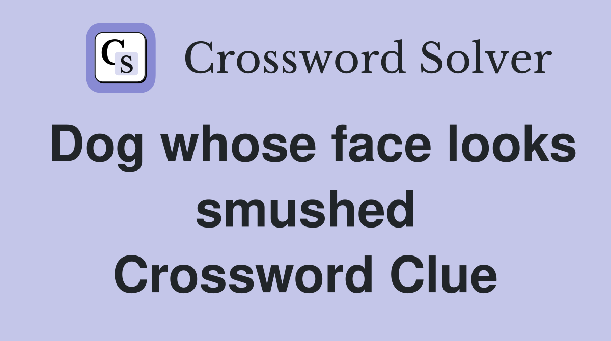 Dog whose face looks smushed Crossword Clue
