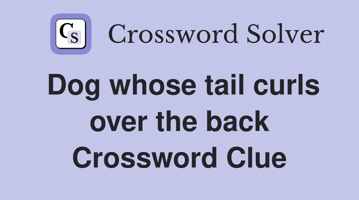 Dog whose tail curls over the back Crossword Clue