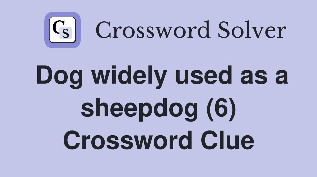 Dog widely used as a sheepdog (6) Crossword Clue