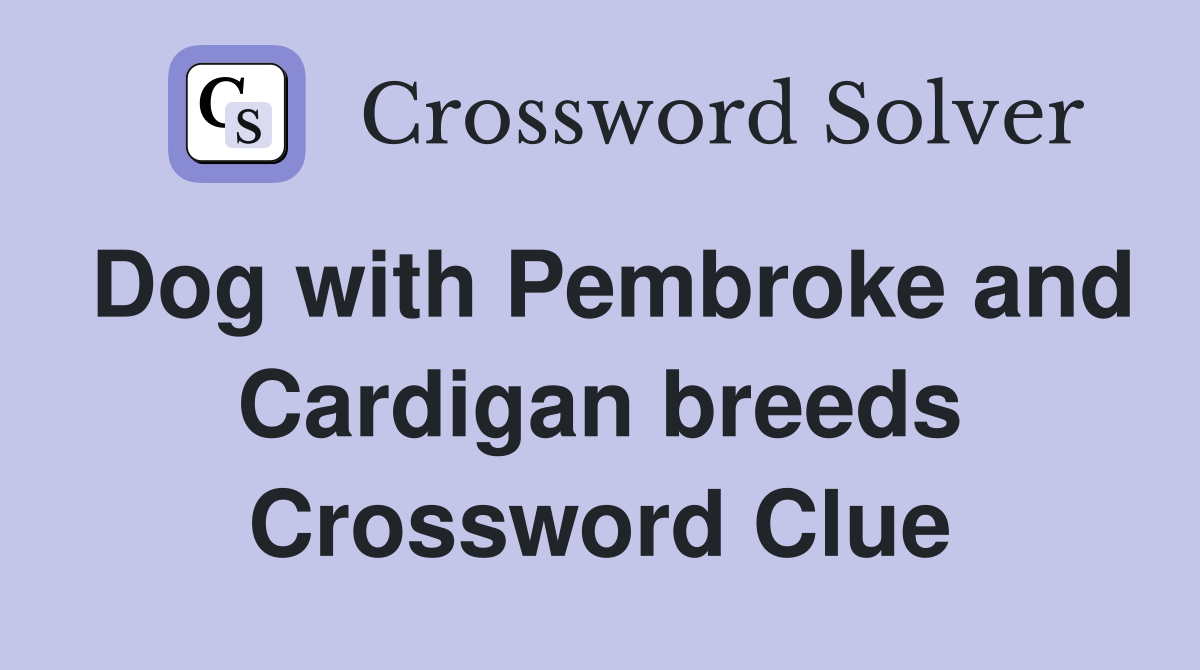 Dog with Pembroke and Cardigan breeds Crossword Clue