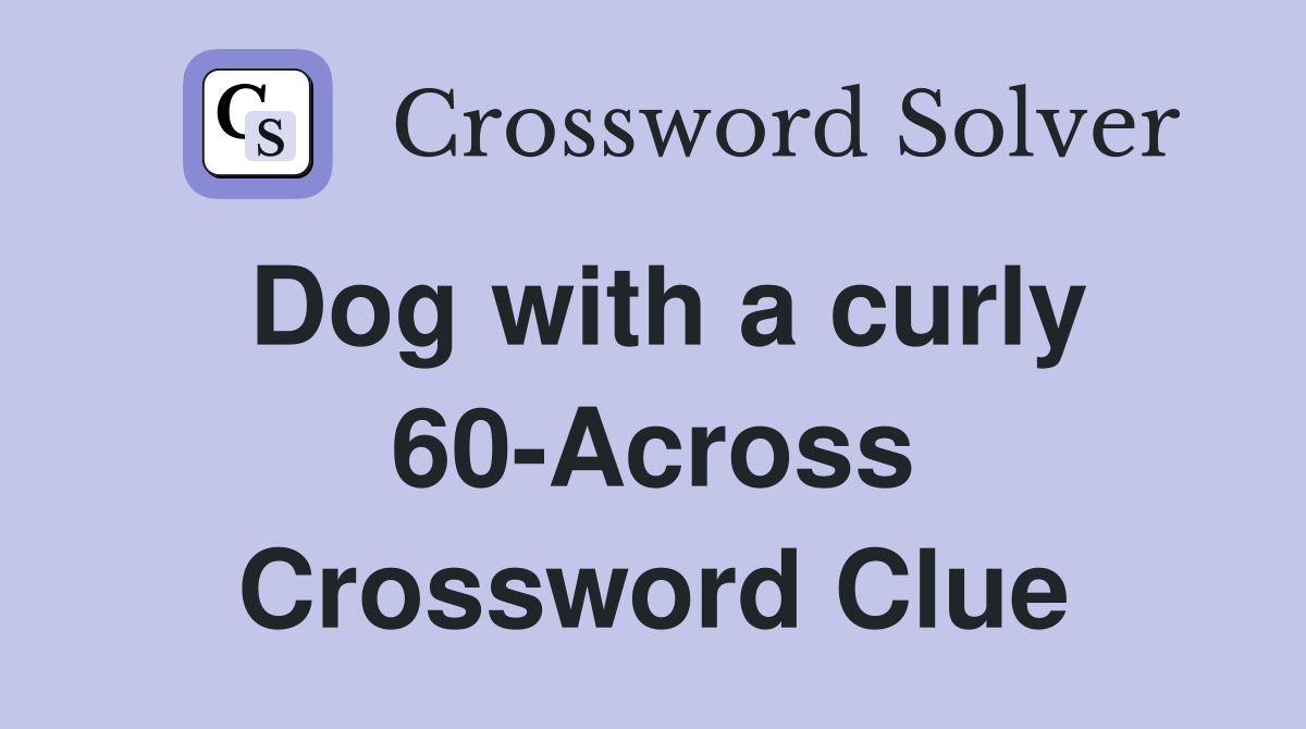 Dog with a curly 60-Across Crossword Clue
