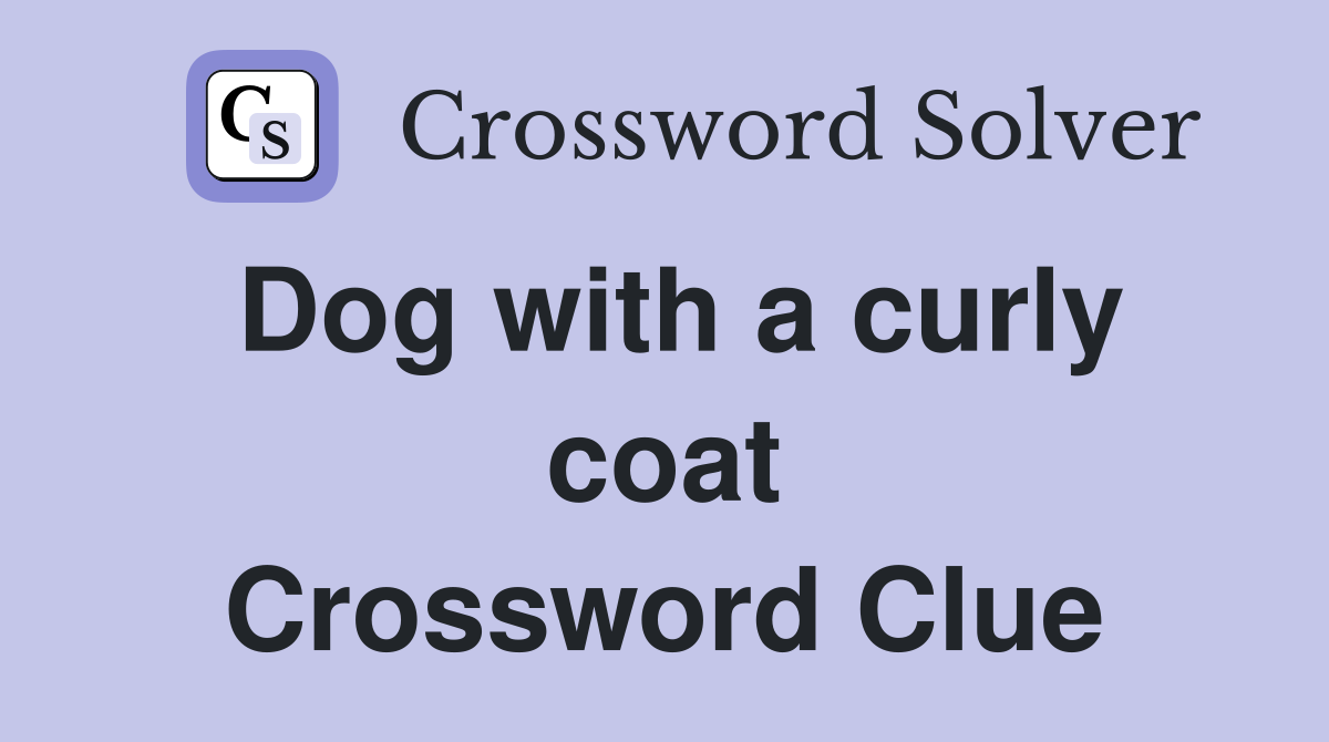 Dog with a curly coat Crossword Clue
