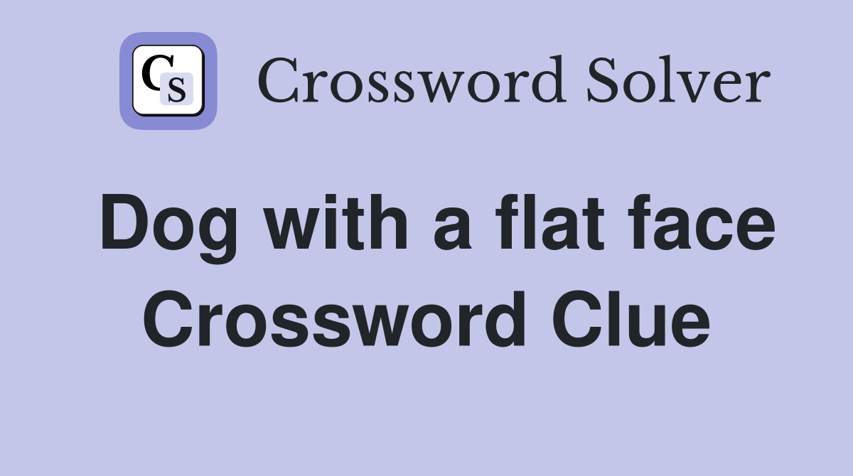Dog with a flat face Crossword Clue