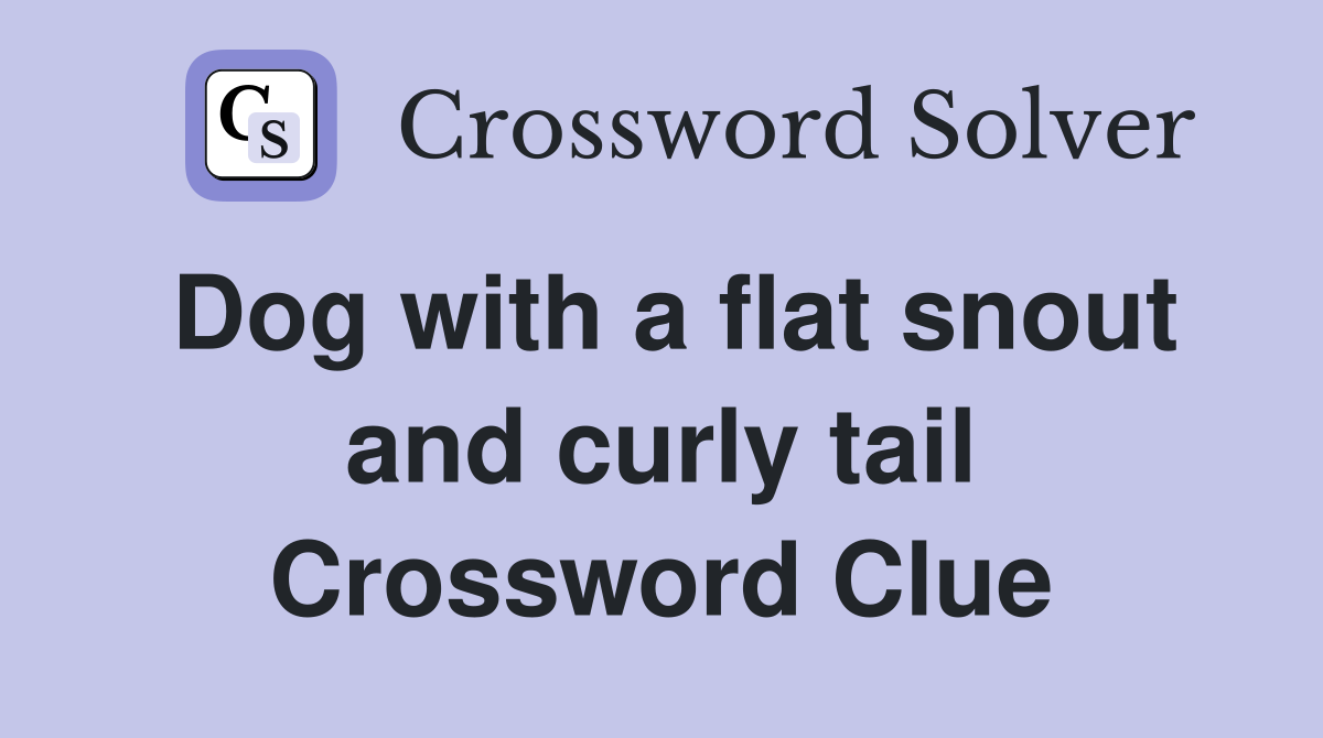 Dog with a flat snout and curly tail Crossword Clue