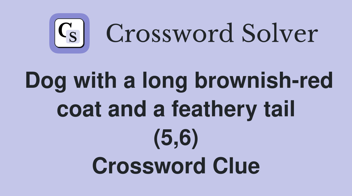 Dog with a long brownish-red coat and a feathery tail (5,6) Crossword Clue