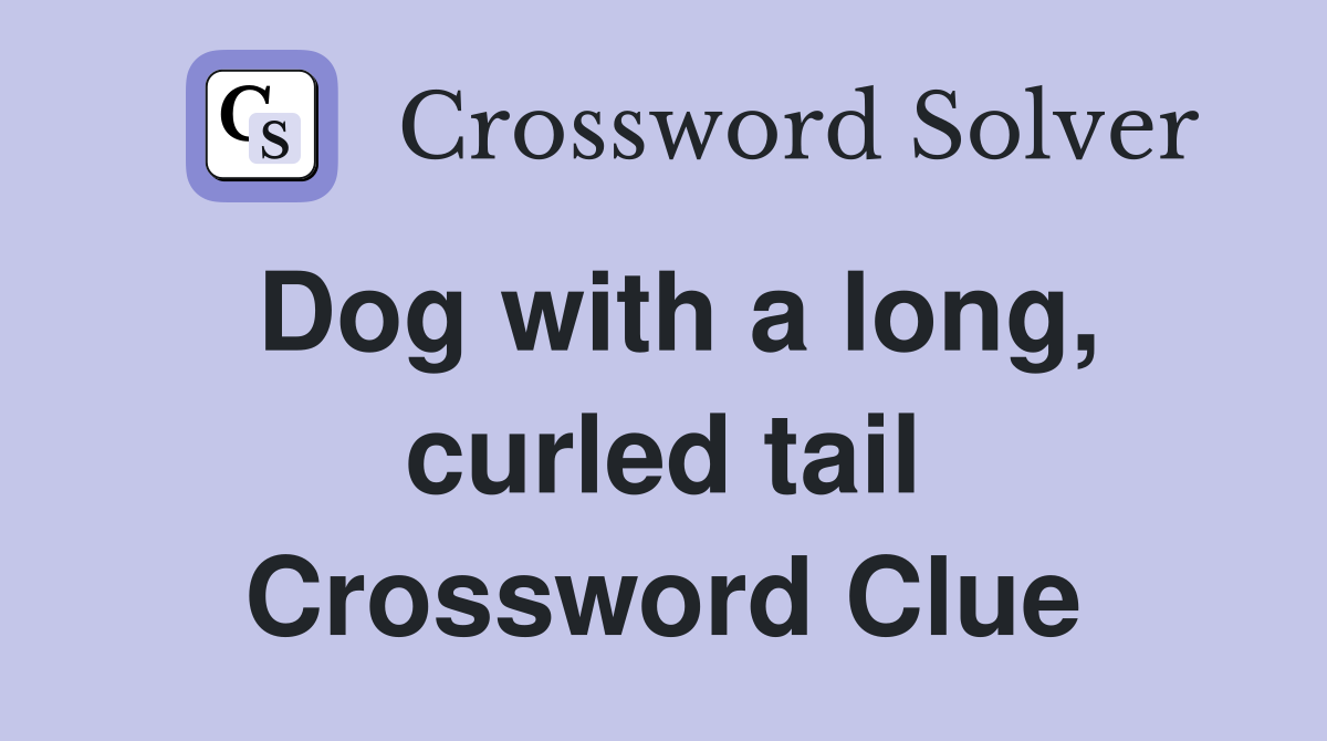 Dog with a long, curled tail Crossword Clue