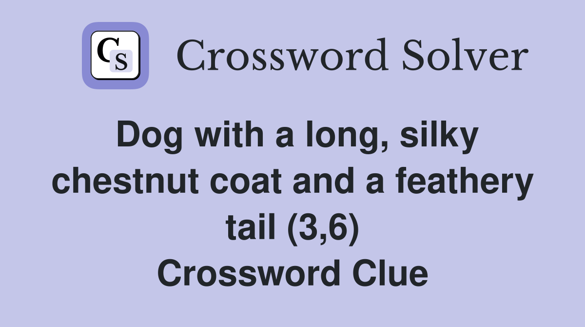 Dog with a long, silky chestnut coat and a feathery tail (3,6) Crossword Clue
