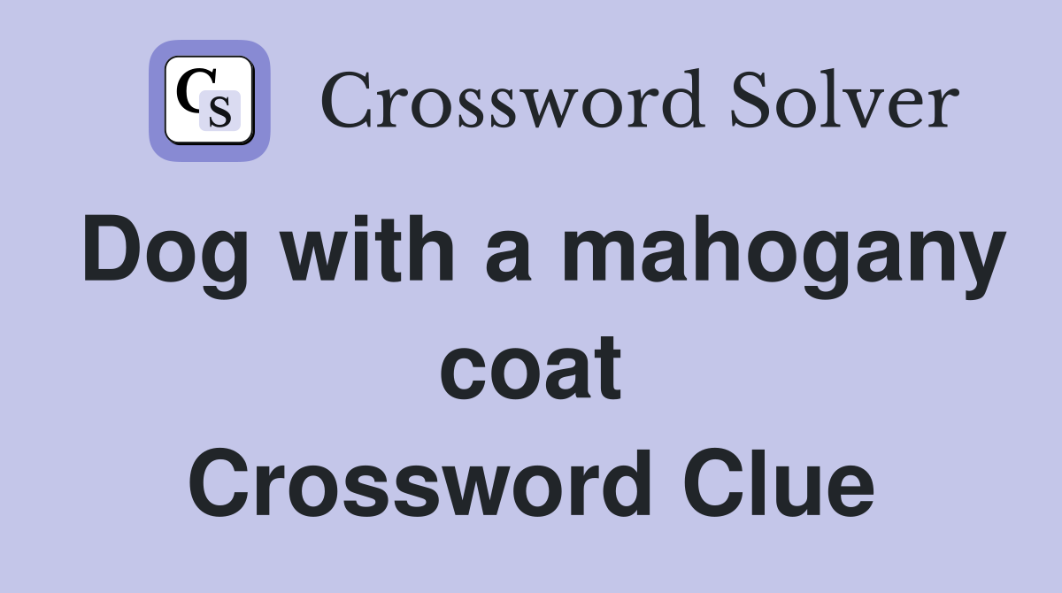 Dog with a mahogany coat Crossword Clue