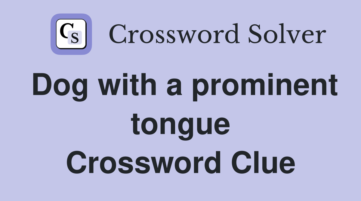 Dog with a prominent tongue Crossword Clue