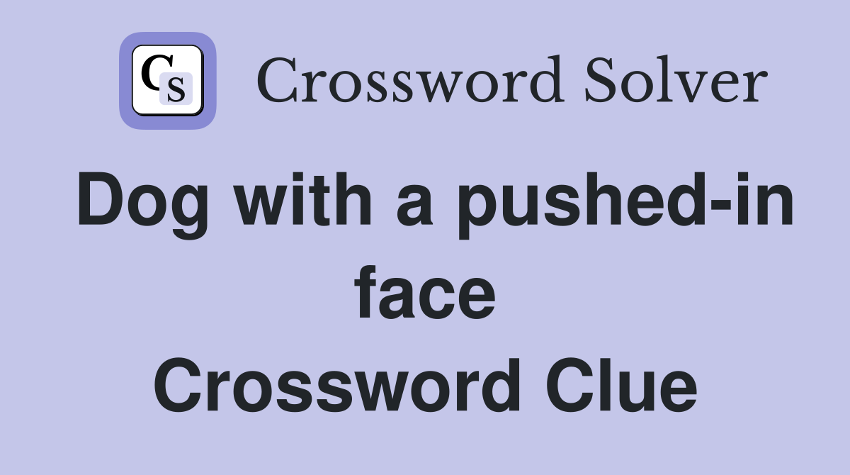 Dog with a pushed-in face Crossword Clue