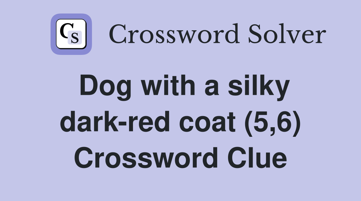 Dog with a silky dark-red coat (5,6) Crossword Clue